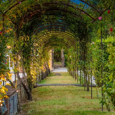 Luxury With Pool In Lucca * Capannori